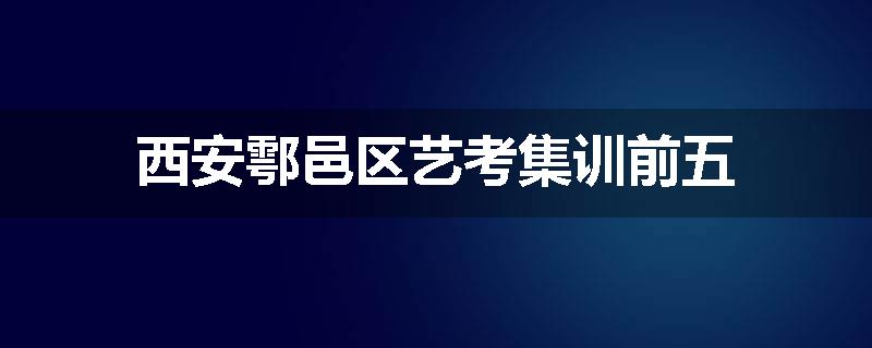 西安鄠邑区艺考集训前五