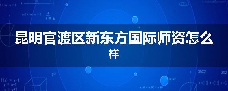 昆明官渡区新东方国际师资怎么样