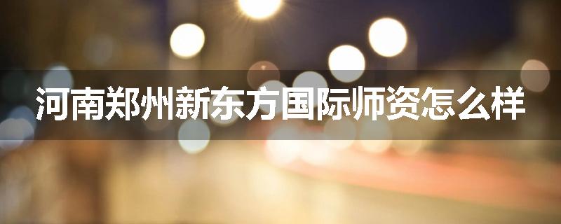 河南郑州新东方国际师资怎么样