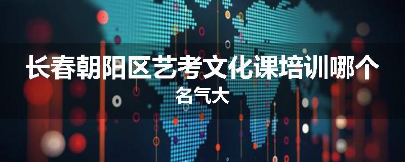 长春朝阳区艺考文化课培训哪个名气大