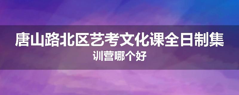 唐山路北区艺考文化课全日制集训营哪个好