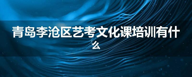 青岛李沧区艺考文化课培训有什么