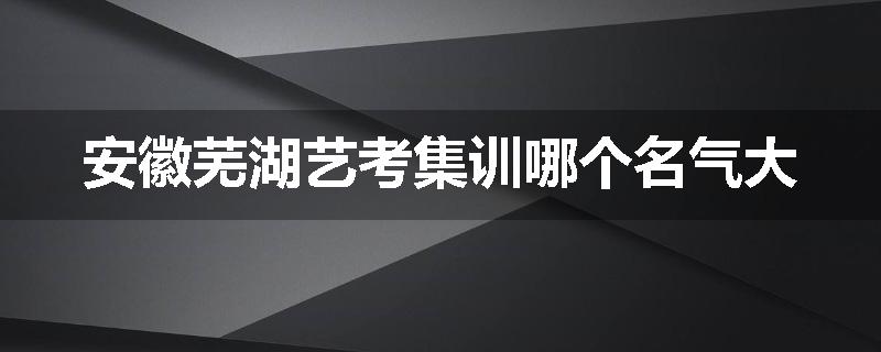 安徽芜湖艺考集训哪个名气大