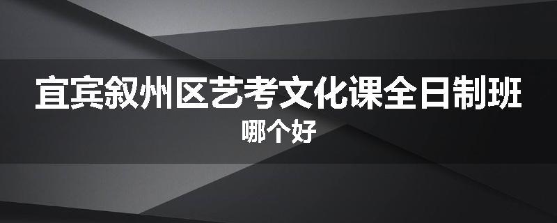 宜宾叙州区艺考文化课全日制班哪个好