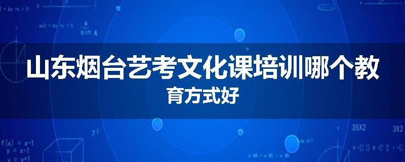山东烟台艺考文化课培训哪个教育方式好