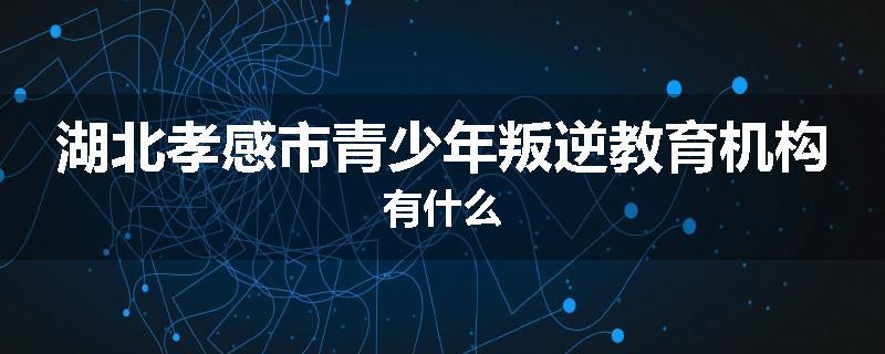 湖北孝感市青少年叛逆教育机构有什么