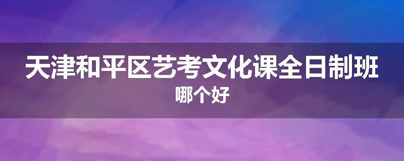 天津和平区艺考文化课全日制班哪个好