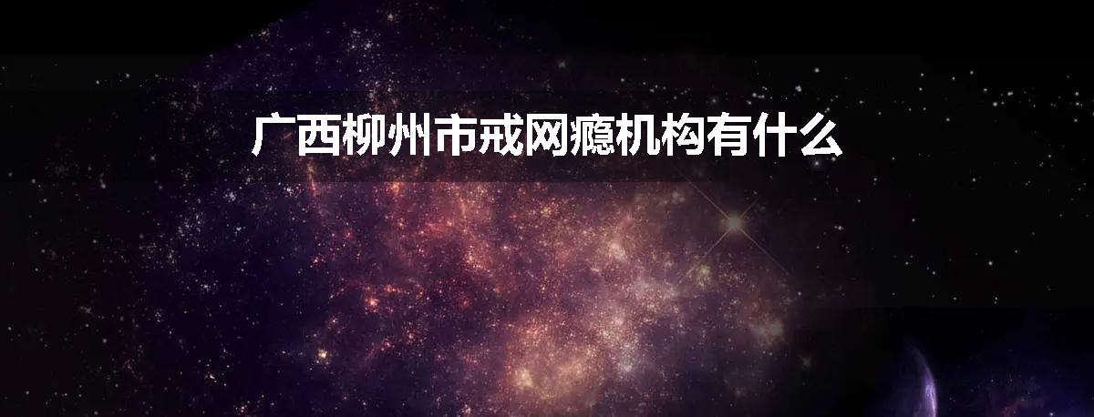广西柳州市戒网瘾机构有什么