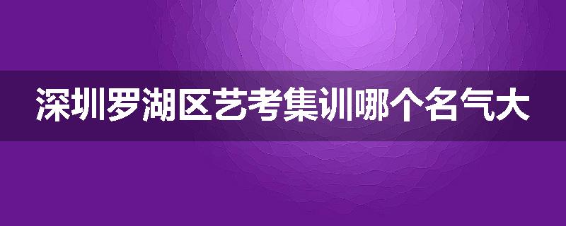 深圳罗湖区艺考集训哪个名气大