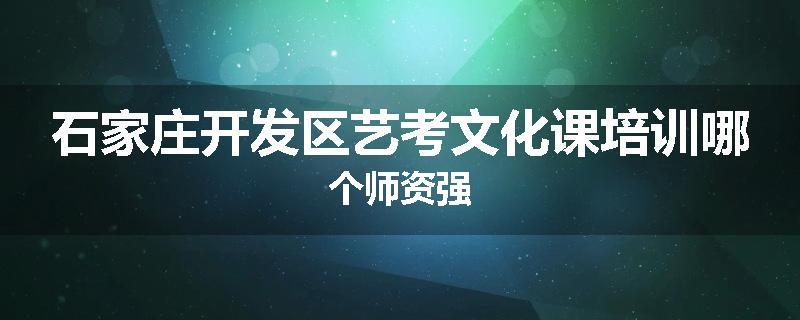 石家庄开发区艺考文化课培训哪个师资强