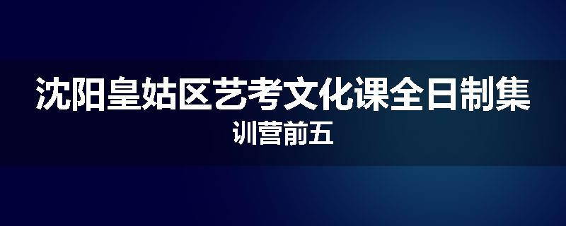 沈阳皇姑区艺考文化课全日制集训营前五