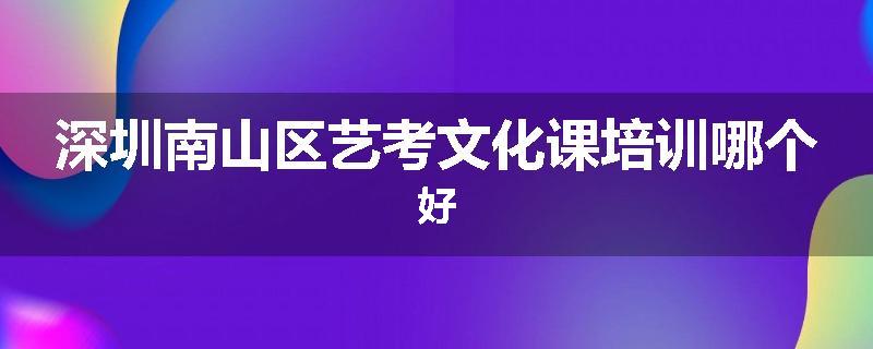深圳南山区艺考文化课培训哪个好
