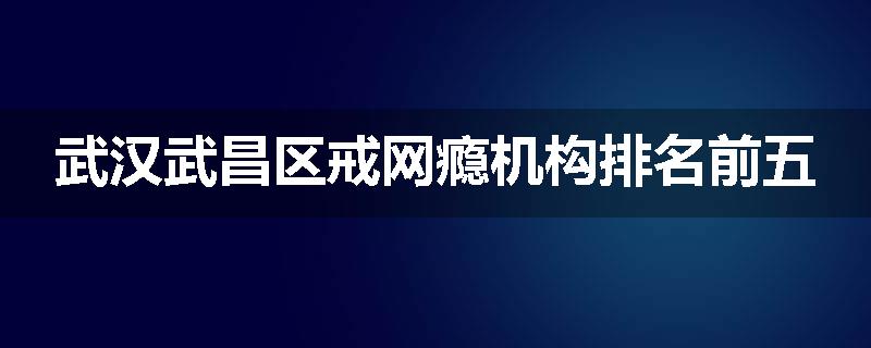 武汉武昌区戒网瘾机构排名前五