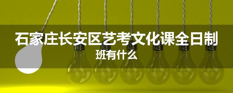 石家庄长安区艺考文化课全日制班有什么