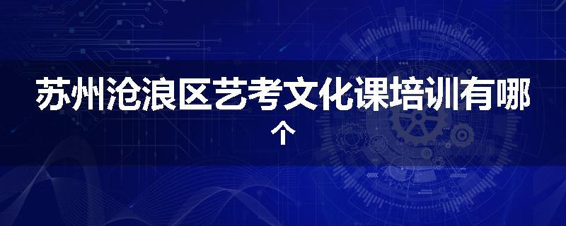 苏州沧浪区艺考文化课培训有哪个