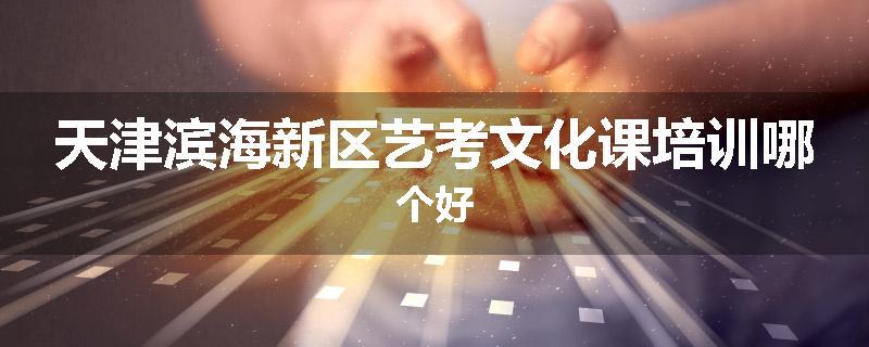 天津滨海新区艺考文化课培训哪个好