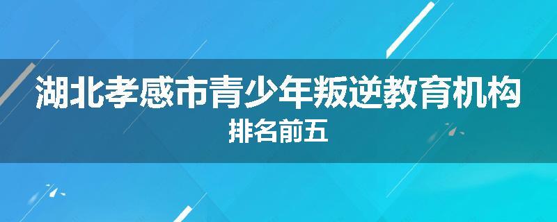 湖北孝感市青少年叛逆教育机构排名前五