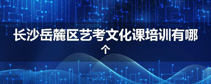 长沙岳麓区艺考文化课培训有哪个