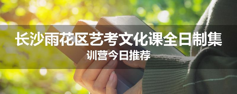 长沙雨花区艺考文化课全日制集训营今日推荐