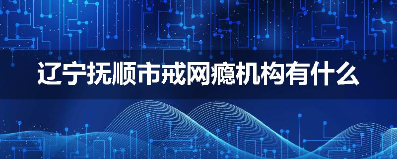 辽宁抚顺市戒网瘾机构有什么