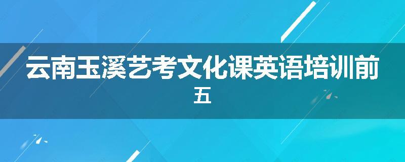 云南玉溪艺考文化课英语培训前五