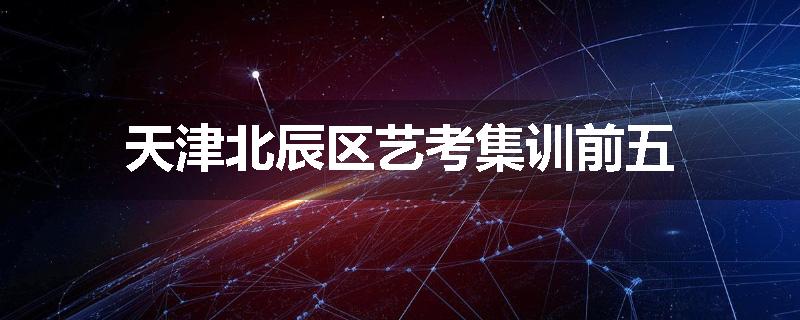 天津北辰区艺考集训前五