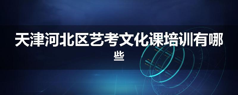 天津河北区艺考文化课培训有哪些