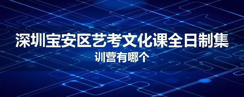 深圳宝安区艺考文化课全日制集训营有哪个
