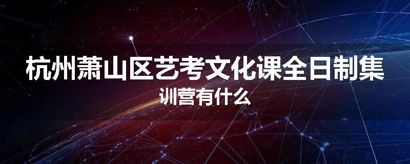 杭州萧山区艺考文化课全日制集训营有什么