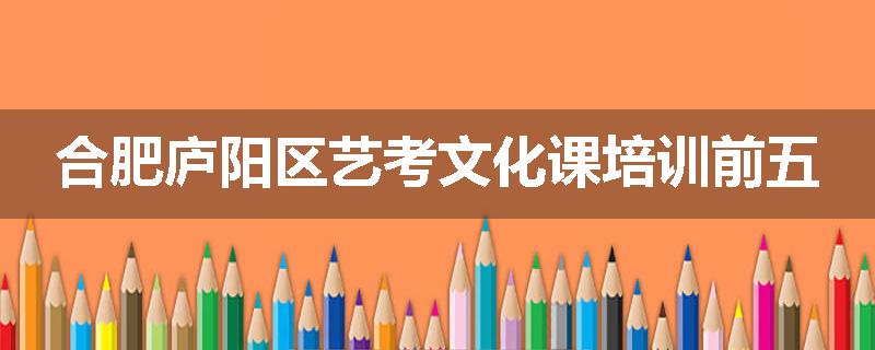 合肥庐阳区艺考文化课培训前五