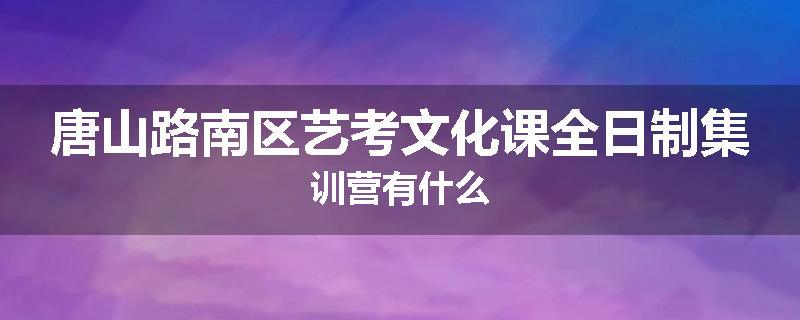 唐山路南区艺考文化课全日制集训营有什么