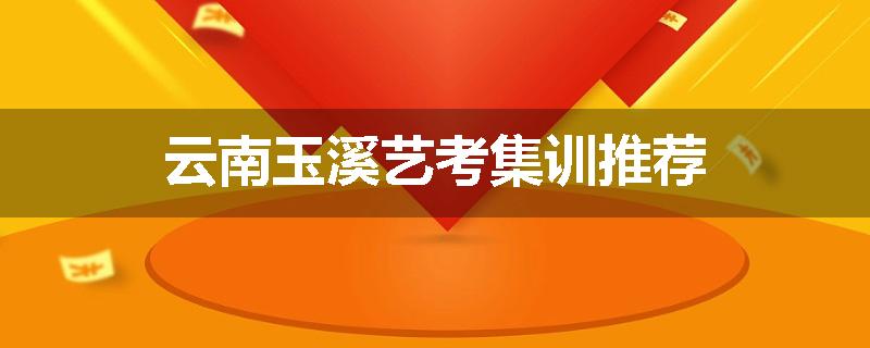 云南玉溪艺考集训推荐