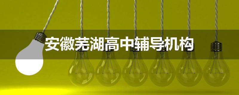 安徽芜湖高中辅导机构