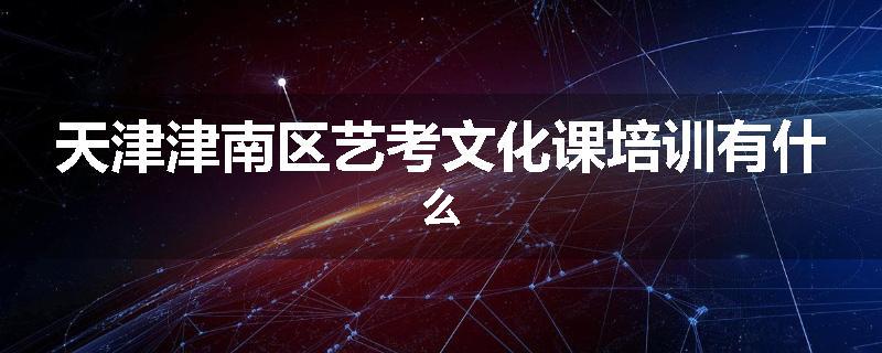 天津津南区艺考文化课培训有什么