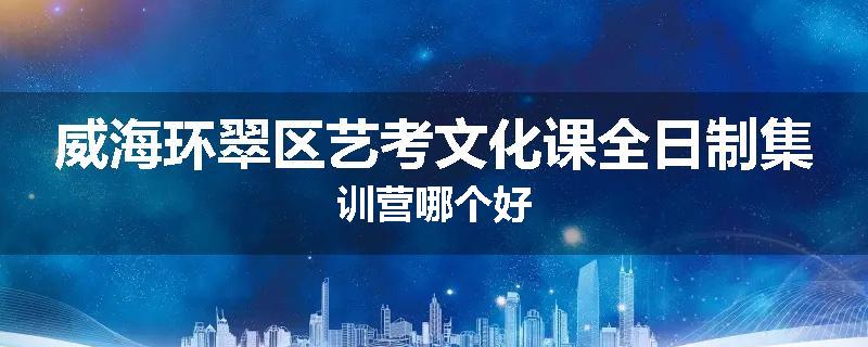 威海环翠区艺考文化课全日制集训营哪个好