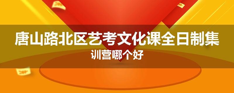 唐山路北区艺考文化课全日制集训营哪个好