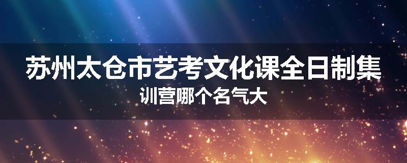 苏州太仓市艺考文化课全日制集训营哪个名气大
