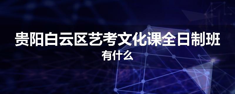 贵阳白云区艺考文化课全日制班有什么