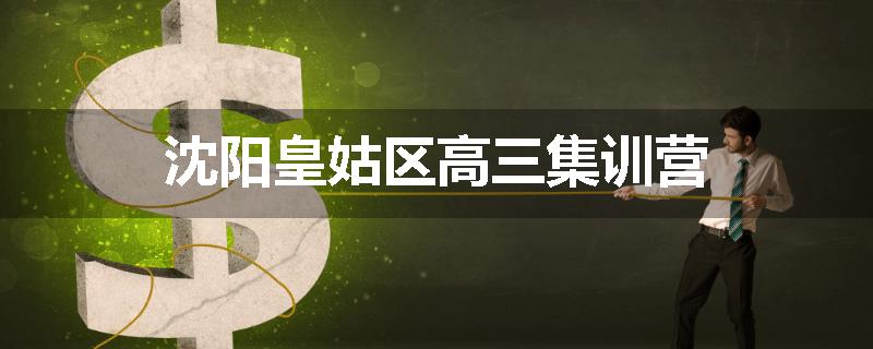 沈阳皇姑区高三集训营