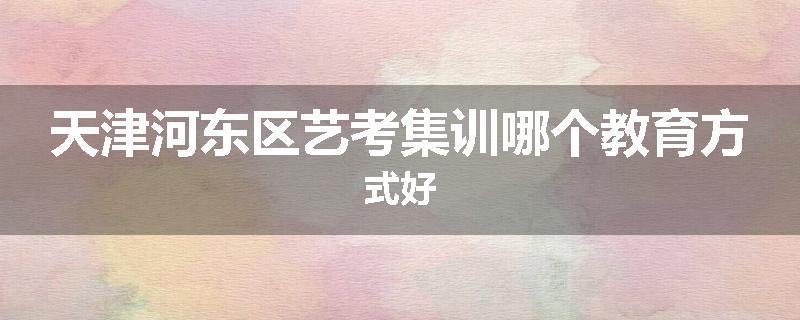 天津河东区艺考集训哪个教育方式好
