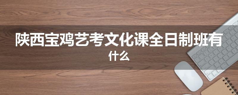 陕西宝鸡艺考文化课全日制班有什么