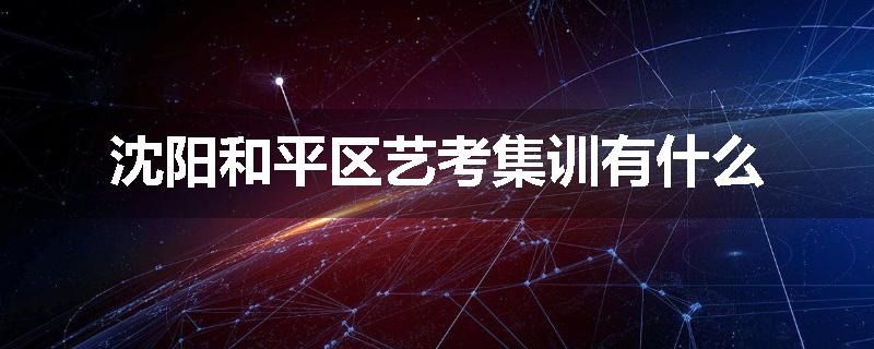沈阳和平区艺考集训有什么