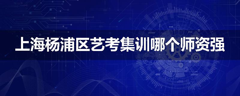上海杨浦区艺考集训哪个师资强
