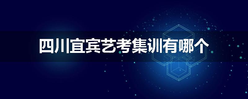 四川宜宾艺考集训有哪个