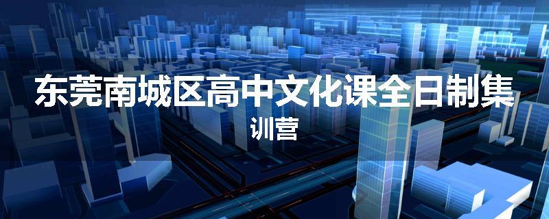 东莞南城区高中文化课全日制集训营