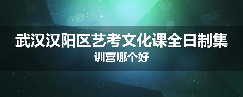 武汉汉阳区艺考文化课全日制集训营哪个好