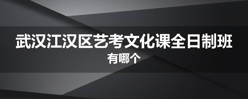 武汉江汉区艺考文化课全日制班有哪个