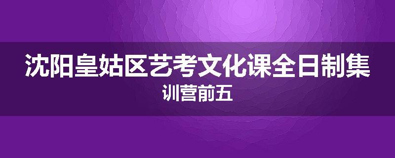 沈阳皇姑区艺考文化课全日制集训营前五