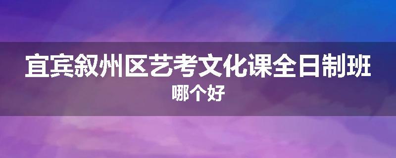 宜宾叙州区艺考文化课全日制班哪个好
