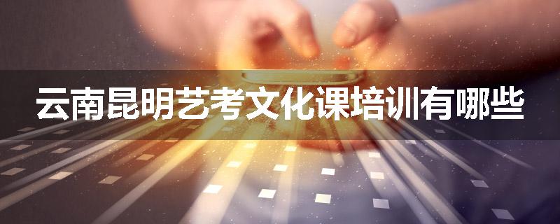 云南昆明艺考文化课培训有哪些